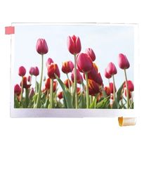 5.6 Inch tft lcd Panel